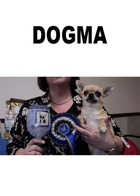 dogma poster